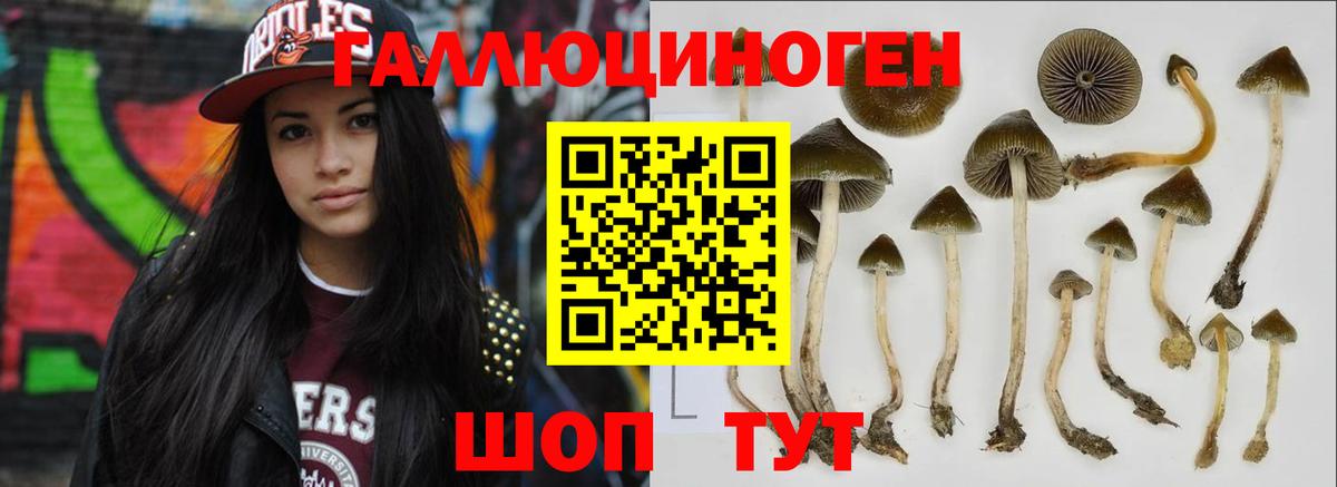 Псилоцибиновые грибы мицелий Каменка